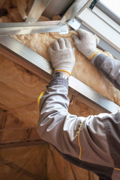 Best Blown-in Insulation in Richton, MS