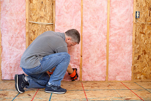Best Residential Insulation in Richton, MS