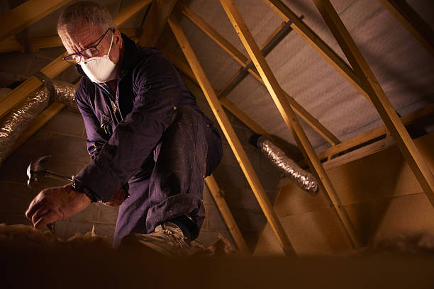 Best Commercial Insulation in Richton, MS
